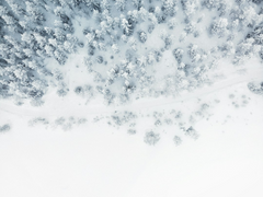 하늘 끝에 이르는 바람(6)