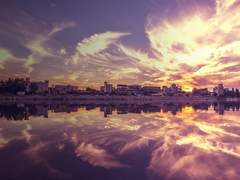 Harry Potter_community