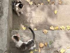 네찬란함이짓밟혀뭉개지더라도