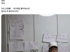 절반, 푸르다 썰 백업