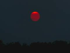 [하루우츠/미드소마 AU] 선악의 유전 샘플