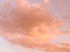 오만한 그대에게 남기는 나의 편지.