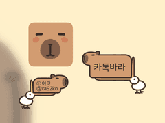 카톡바라 카톡테마🤎