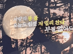 나는 SOLO 나간 X 드림주를 본 그 남들 반응 下