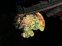 귀신이 고칼로리