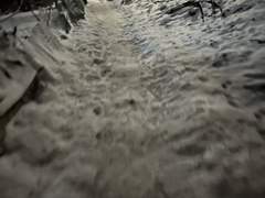 서울 한복판에서 조난당한 이야기