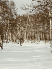 Permeate : 너에게 스며들다