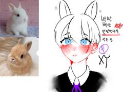 아오이 토모야『葵智也』 | 19 | 男| 인수(네덜란드 드워프 토끼)|독|