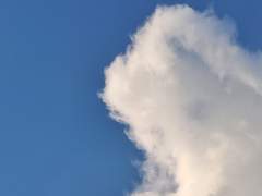 주우찬은 읽어라.