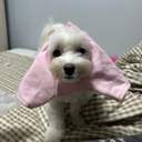 촉촉의 카리스마