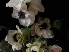 [ 고수혁 / 22 / 2 / 아네모네 ]