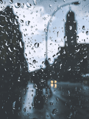 이르시 길을 위한 안내서