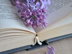 자줏빛 히아신스