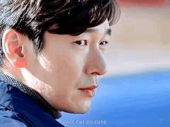 빌려 온 고양이같이