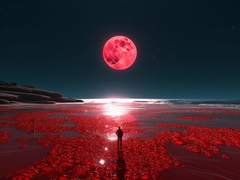 [해즈빈호텔 드림/헬러바 보스 드림/스톨라스] 밤 손님4