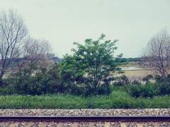 [데못죽][큰세문대아현] 놀러가자 문대야