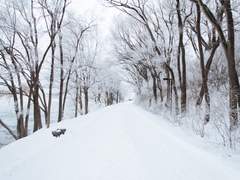 [장편/이타이즈] 오만 -11-