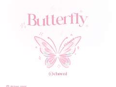 CHOMI│apk 봄나비 분홍 카카오톡 테마 - 안드로이드