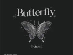 CHOMI│apk 봄나비 다크 카카오톡 테마 - 안드로이드