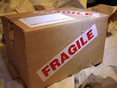 24. 02. 15. +Antifreeze_Antifragile