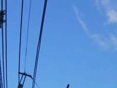 나기사와 아야나미와 선물