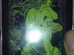 방황하는 영혼 The Wandering Spirit