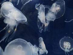 잠시 정지시켜놓은 오늘의 이야기