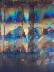 흑본성정화백서