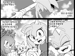 SONIC :: 어느 한 영웅의 조건