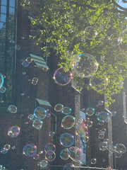 6월에는 복숭아 향기를 내주세요