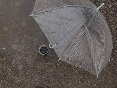 우연이 꽃이 필 때_1