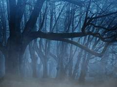 귀신 직접 본 사람들이 말한 귀신의 특징