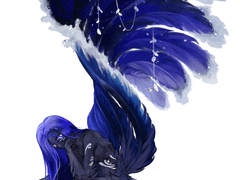 해, 달 그리고 유프레피아