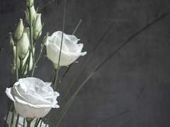 [청명왼] 후유증 (1)