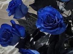 저, 이제야 알았어요.