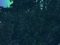 [타브게일] Proceeding