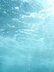 개인적 단편 창작물