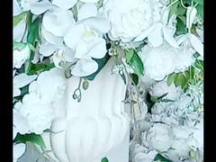 (스팬담) 결혼 축하