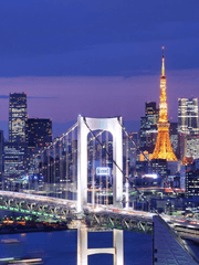 환상 속의 나비