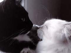 running my fingers through your hair