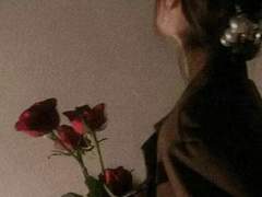 청춘의 바람은 타락했다