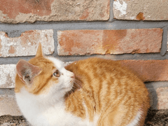 2. 어린 시절에 대한 향수