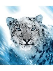 설표의 약혼녀는 내가 아니다