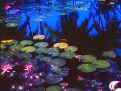 다음 겨울은 네가 없는 겨울이길