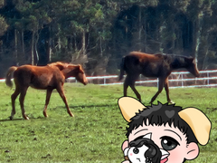 지인 그림 축전 백업