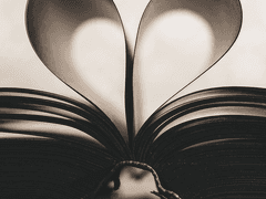 드림주 드림캐를 깨워보자