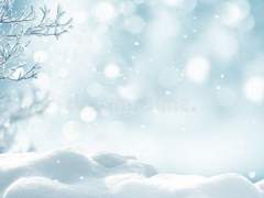 얼음 위에서 피어난 검은 꽃