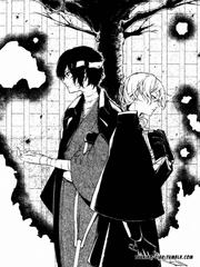 문호 스트레이독스 BSD