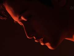 스트레이 센티넬 09