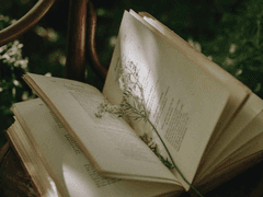 Kiss and Cry 애스크 백업